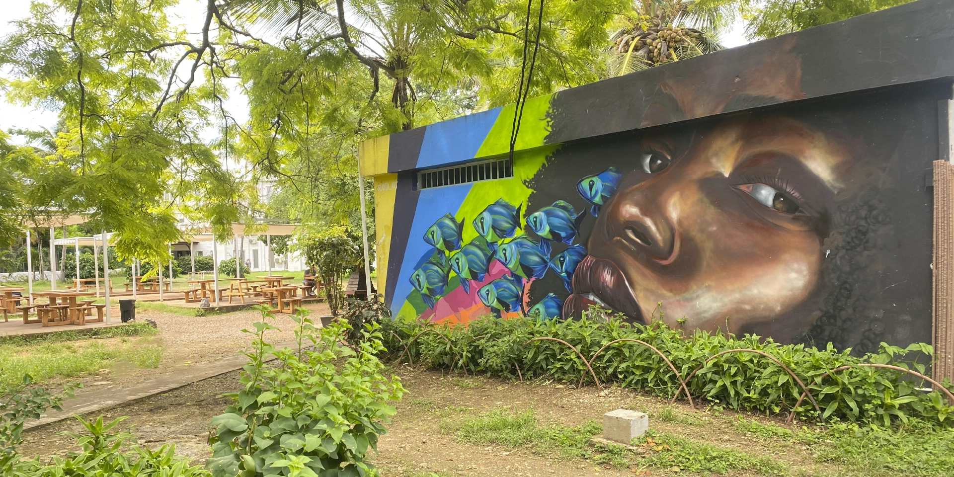 On Vacation Colombia - Destino Nacional San Andr&eacute;s Hotel Cove - Green house respaldo