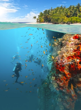 On Vacation Colombia - Hotel Ton&eacute; servicios extras y atracciones Buceo en la Isla