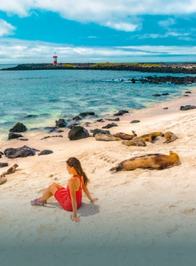 On Vacation - Servicios extras y atracciones Malecon