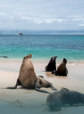 On Vacation Ecuador - Servicios extras y atracciones Playa Punta Carola
