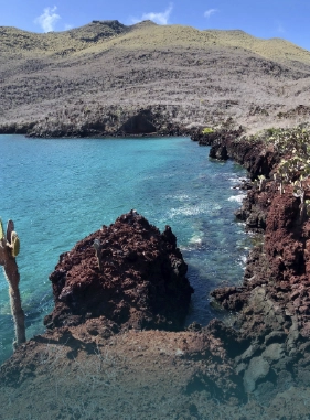 On Vacation Ecuador - Servicios extras y atracciones Tijeretas