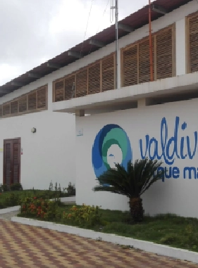 This place collects marine animals and birds for their recovery.                Valdivia Aquarium