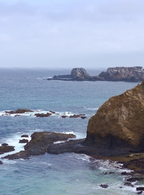 It is a small island full of seabirds, turtles, giant manta rays and whales, an unmissable destination, full of adventure and joy.                La Plata Island