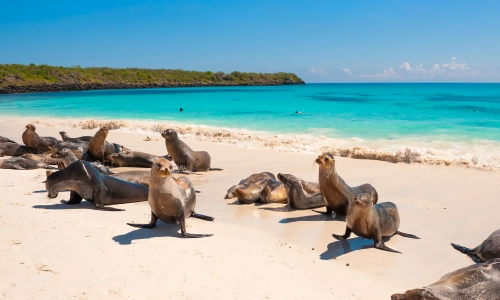On Vacation Ecuador - Destino Gal&aacute;pagos