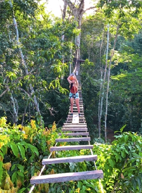 On Vacation Colombia : Activities in destination Amazonas - Canopy