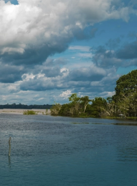 On Vacation Colombia hotel amazonas servicios turisticos Lagos de Yahuarcaca: