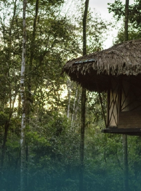 On Vacation Colombia hotel amazonas servicios turisticos reserva tanimboca