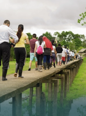 En esta caminata se podr&aacute; observar &aacute;rboles frutales, plantas medicinales, mucha fauna y flora.   Costo adicional
Caminata comunidad arara
