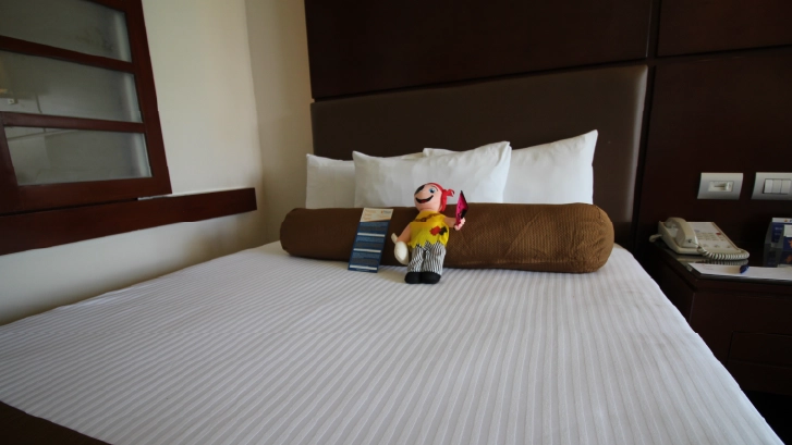 They have: Satellite TV, WiFi Internet, private bathroom, air conditioning, safe deposit box.