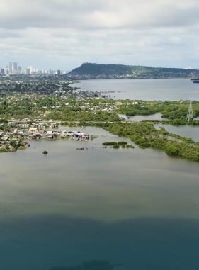 Es el principal cuerpo de agua salobre de la ciudad de Cartagena de Indias, aqu&iacute; podr&aacute;s ver  aves como la garza, la garza blanca, el pel&iacute;cano pardo, el loro real amaz&oacute;nico y m&aacute;s.
Costo adicional
CI&Eacute;NAGA DE LA VIRGEN