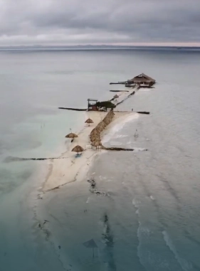 Las mejores  playas de arena blanca, para disfrutar de una experiencia perfecta para practicar snorkeling.
ISLA PALMA