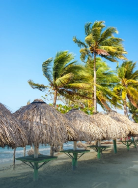 La Ci&eacute;naga de La Caimanera es una reserva natural y una de las joyas ocultas del pa&iacute;s
Costo adicional
CI&Eacute;NAGA DE LA CAIMANERA