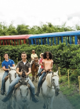 Live a fun-filled experience in one of the main parks in Latin America while contemplating the wonders of this region.                 Coffee Park