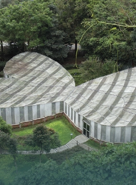 Discover 1500 butterflies in the middle of flower gardens on a fantasy trail.                Butterfly garden