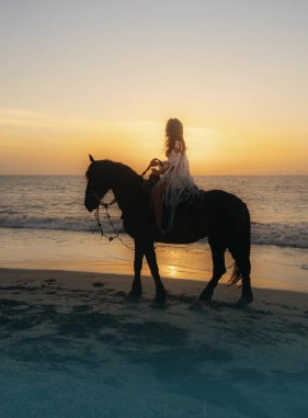 On Vacation Colombia - Servicios Extras Cabalgata