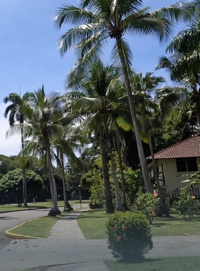 Conocido por su dise&ntilde;o arquitect&oacute;nico moderno, sus acabados de alta gama y sus comodidades excepcionales
Costo adicional
CLAYTON