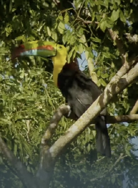 Ofrece un hermoso entorno natural a solo minutos de la ciudad.
Costo adicional
PARQUE NATURAL METROPOLITANO