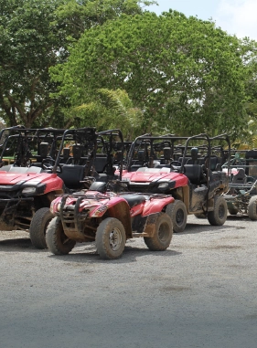 Una actividad para los verdaderos aventureros, recorre y conoce  muchos lugares con esta atracci&oacute;n.
BUGGIES EN PUNTA CANA