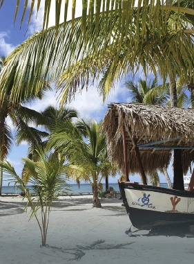 Es uno de los destinos tur&iacute;sticos m&aacute;s visitados de Rep&uacute;blica Dominicana, sus hermosas y paradis&iacute;acas playas atraen a miles de viajeros.
ISLA SAONA
