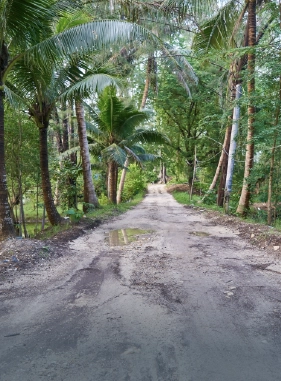 Un lugar para toda la familia, combina  maravillas tropicales con la emoci&oacute;n al aire libre.
Costo adicional
HACIENDA BAVARO