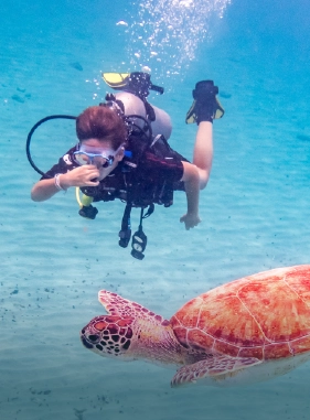 Surprise yourself with everything there is under the sea, an activity that you will enjoy from beginning to end.                 Diving