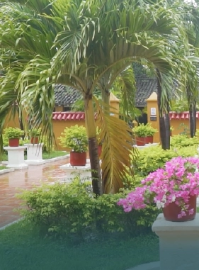 Es un lugar en d&oacute;nde  podr&aacute;s rodearte de arte, historia y cultura.
QUINTA DE SAN PEDRO ALEJANDRINO