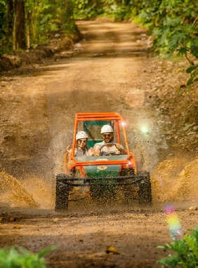 Un para&iacute;so de aventura con tirolesas, buggy tours, saltos en cenotes y m&aacute;s, rodeado de naturaleza
Bavaro Adventure Park