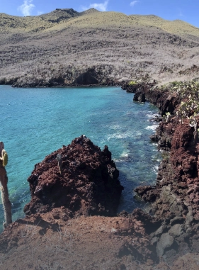 In this tour through the upper part of Santa Cruz Island we will visit the most iconic places of this Galapagos paradise, a day in nature!                Upper part of the island