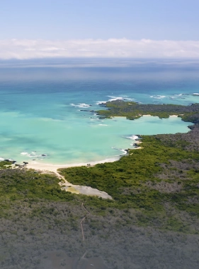 is located on Santa Cruz Island in Galapagos, it is characterized by its golden sand, calm waters and great biodiversity.                 Garrapatero Beach