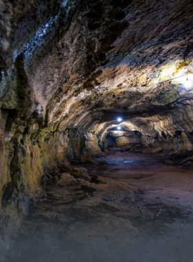 Highly recommended activity, here you will be able to observe giant turtles and the lava tunnels are majestic.                   Lava Tunnels