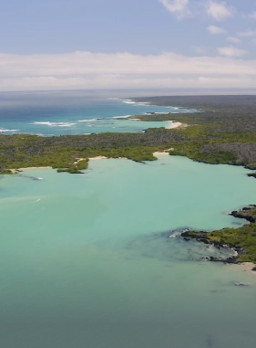 It is a mandatory destination, thanks to its crystal clear turquoise waters and white sand. Located on the island of Santa Cruz.    Additional cost Playa el Garrapatero