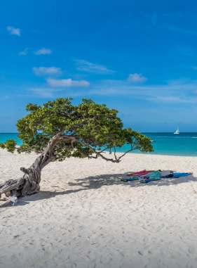 This beach is almost two kilometers long, with fine sand and crystal clear waters perfect for snorkeling, swimming and kayaking.   Additional cost Tortuga Bay Beach