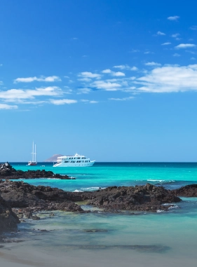 In this tour you will get to know the highlights of Puerto Ayora on Santa Cruz Island.   Additional cost Bay Tour