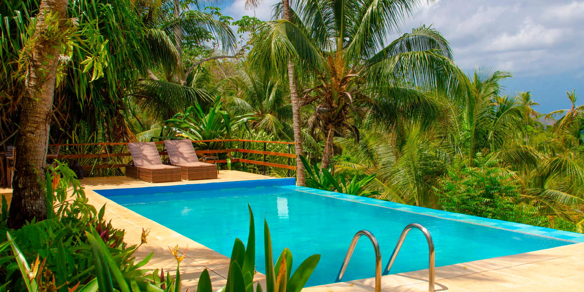 piscina al rededor de palmas on vacation