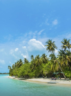 Disfruta de arenas blancas y aguas cristalinas en el para&iacute;so caribe&ntilde;o de Playa del Carmen.
Playas Id&iacute;licas