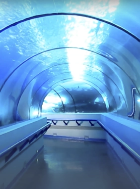 Cuenta con tres &aacute;reas marinas en las que hay mucha variedad de peces interesantes y llamativos
Acuario Nacional