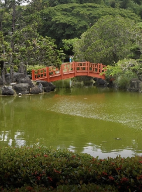 Si quieres escaparte del ruido  estando en una zona c&eacute;ntrica, El Jard&iacute;n Bot&aacute;nico es es lugar.
Jard&iacute;n Bot&aacute;nico
