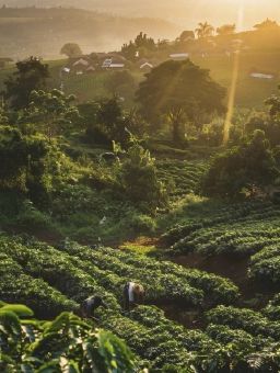 on-vacation-colombia-destino-eje-cafetero